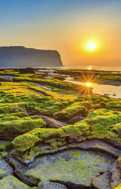濟州島｜經典行程｜4日