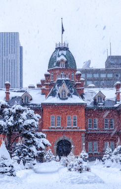 札幌｜雪地滑雪｜6日