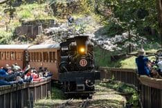 2026阿里山林鐵賞櫻列車