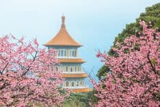 淡水無極天元宮