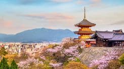 三重塔